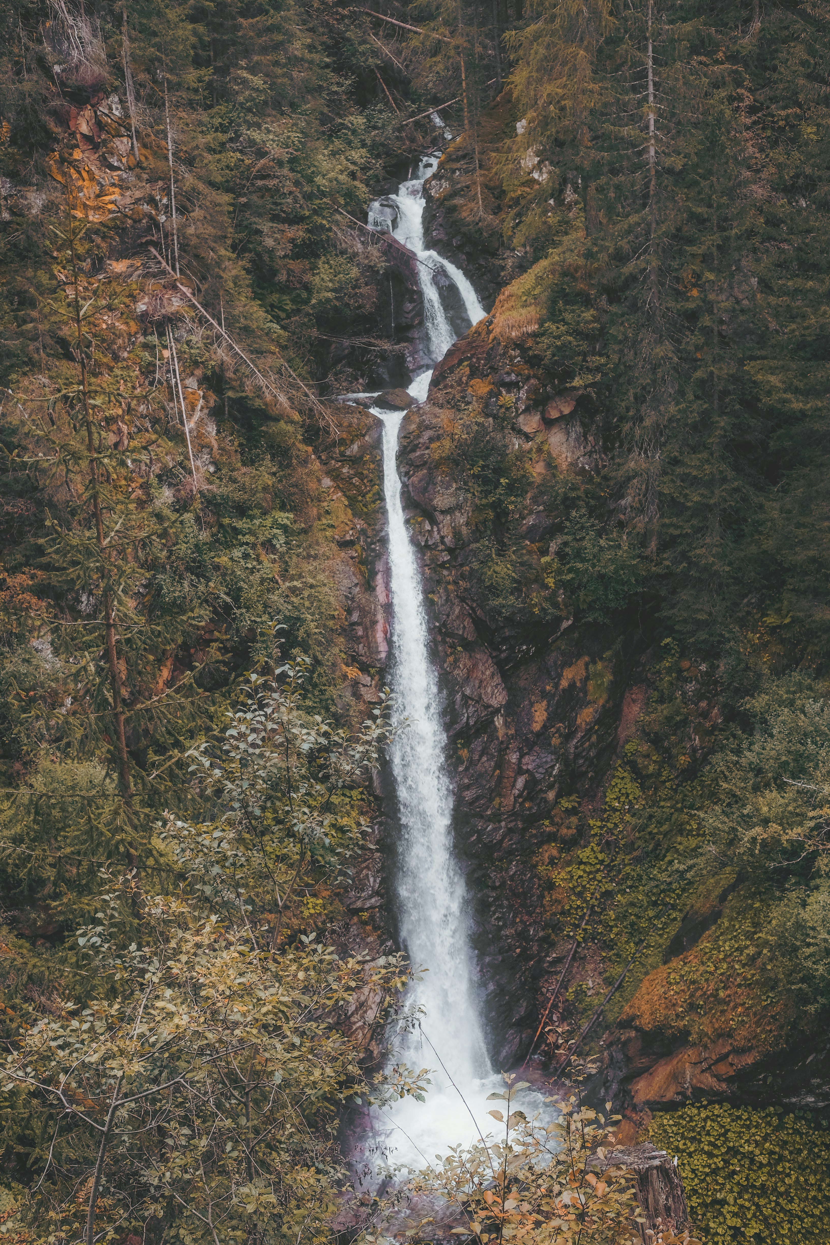 waterfalls in the middle of forest during daytime